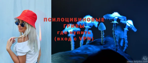 spice Бердск