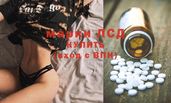 мяу мяу мука Новодвинск