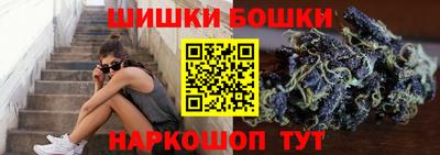 прущие грибы Апшеронск