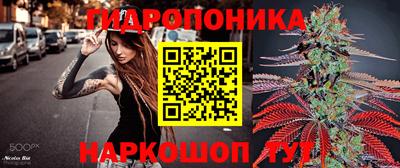 прущие грибы Апшеронск