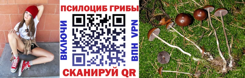 Псилоцибиновые грибы ЛСД  наркота  Волжск 