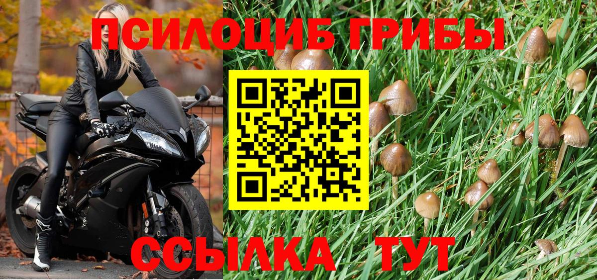 Галлюциногенные грибы MAGIC MUSHROOMS Волжск