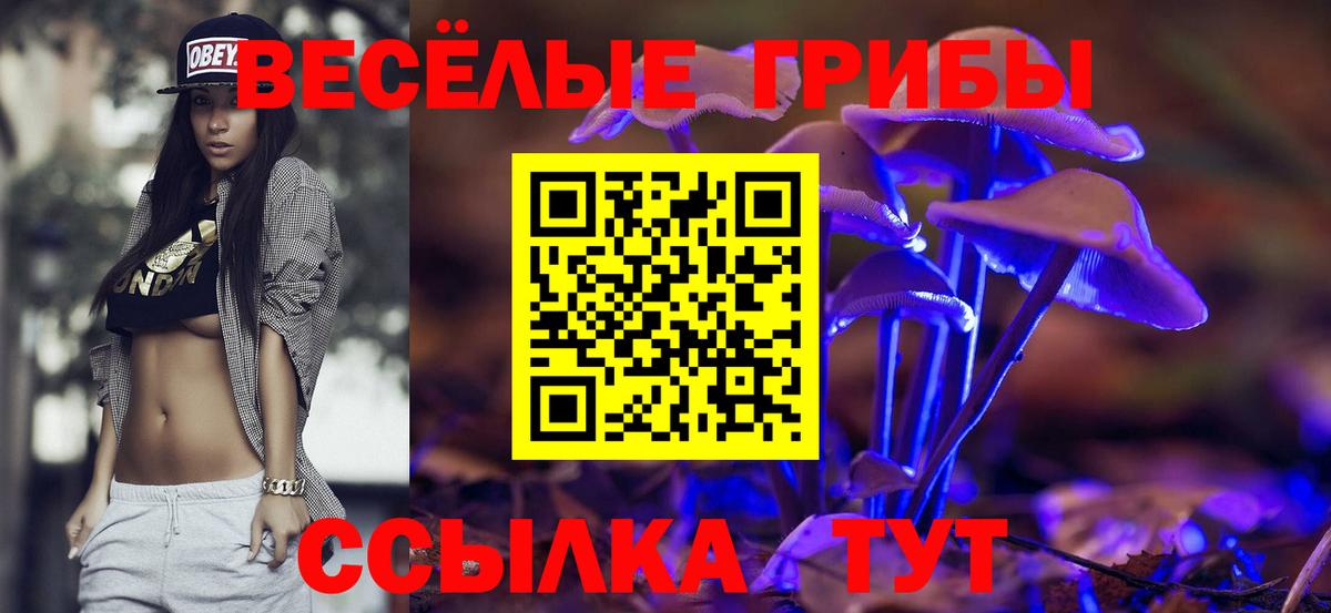 Псилоцибиновые грибы MAGIC MUSHROOMS Волжск