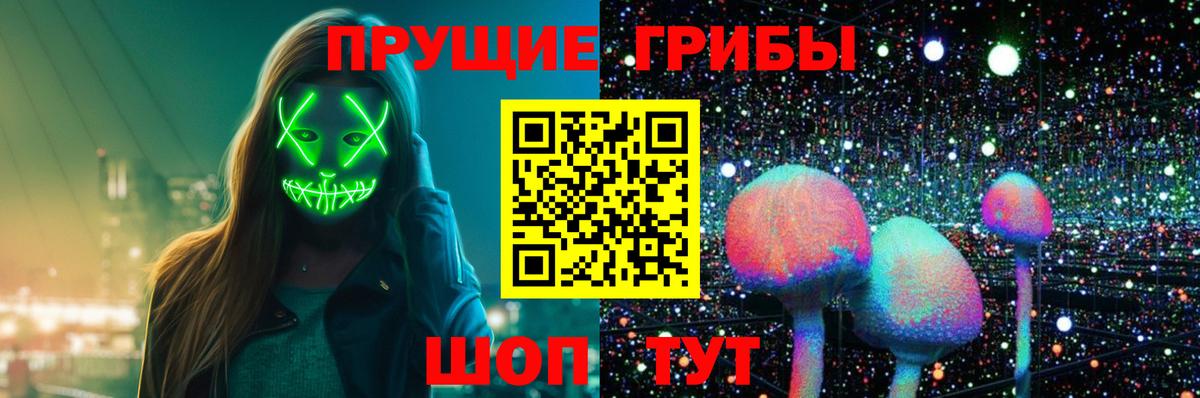 Волжск  наркота  Вход с VPN  Галлюциногенные грибы ЛСД  Псилоцибиновые грибы Cubensis 
